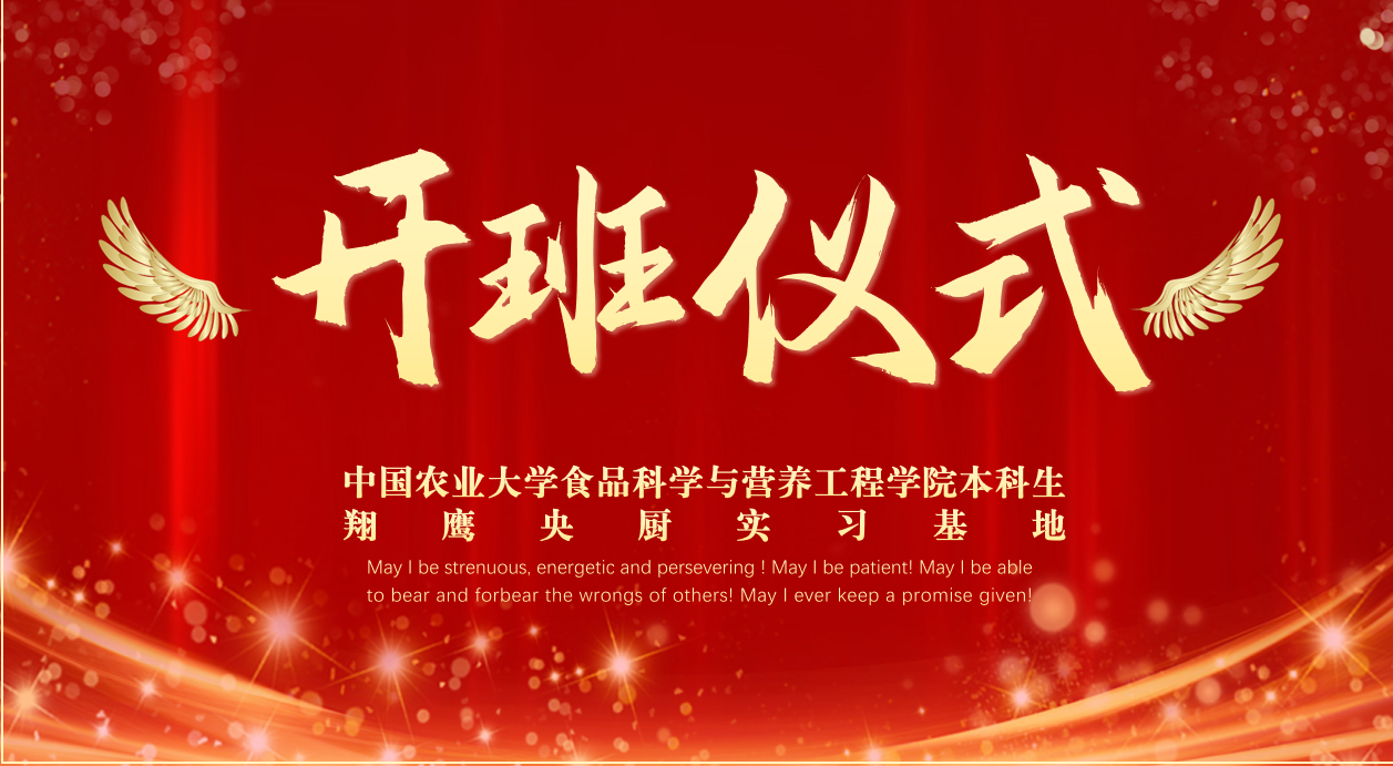 青春与职场的碰撞，梦想与实践的交融！
